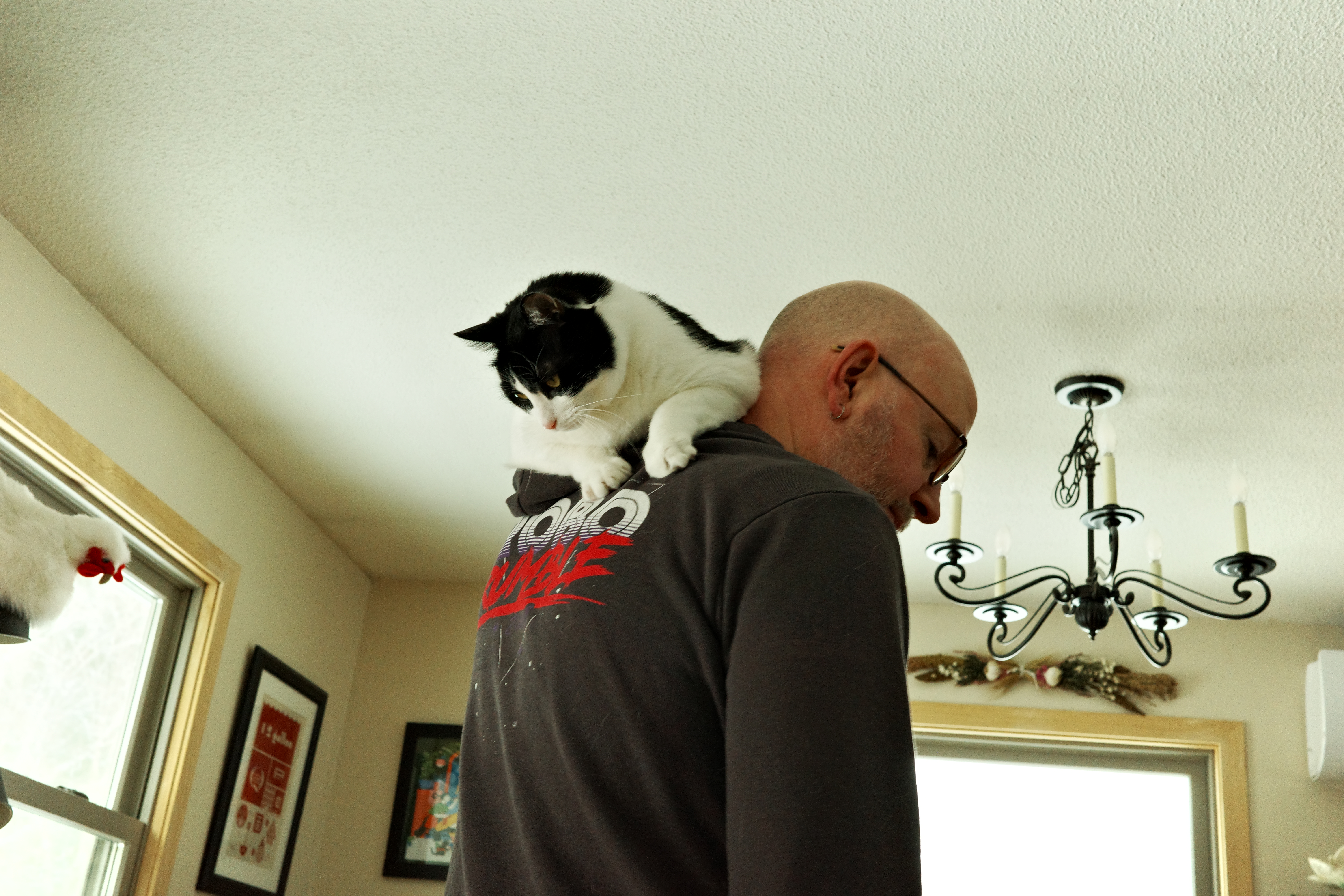 A hunched over looking bald, white guy with a black and white cat on his shoulder/back