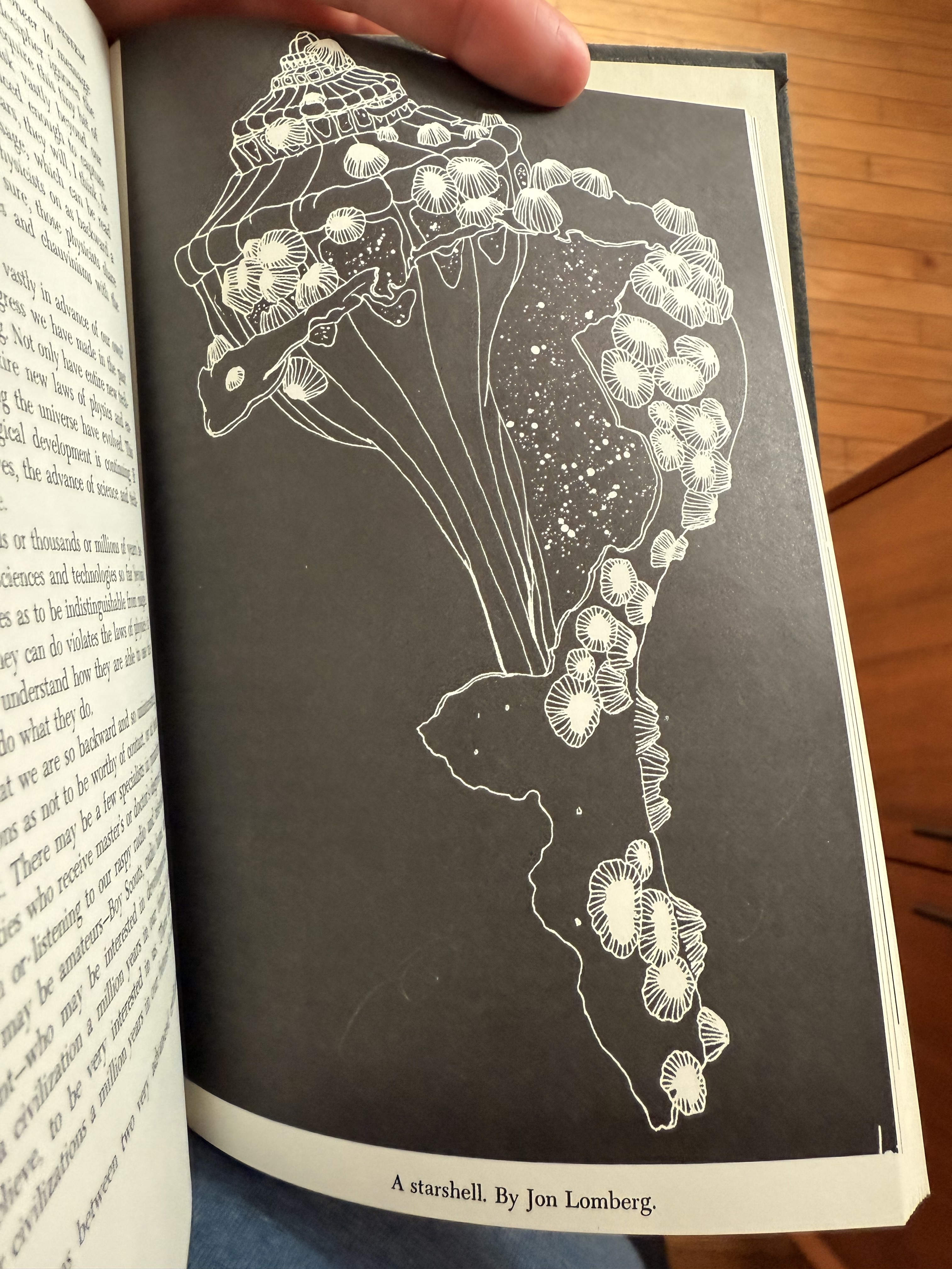 A white-on-black illustration in a book. It's a similar shell to the tattoo: a conch with barnacles on it with its opening full of stars.