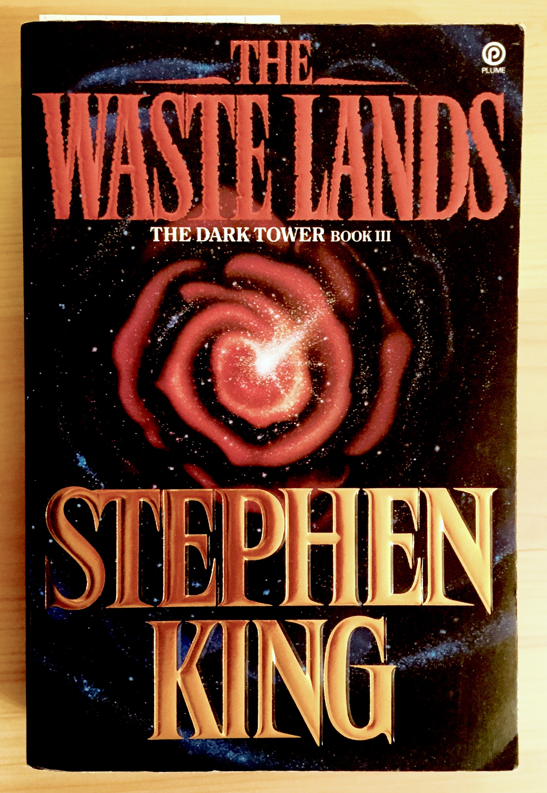 The cover of the Stephen King book; The Waste Lands